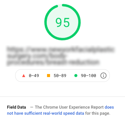 PageSpeed Insight test Screenshot of a PageSpeed Insight test results