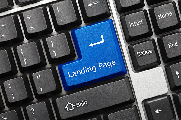 The landing page is the simple most important element of the lead capturing process