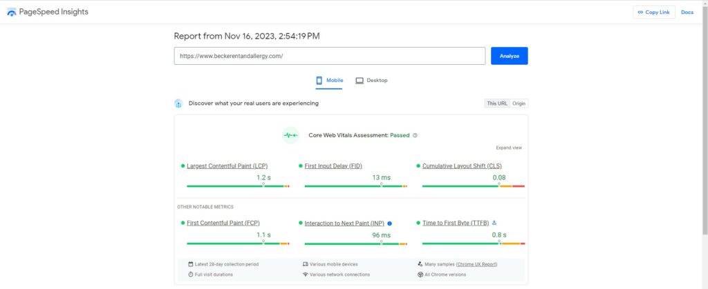 Interface of Google PageSpeed Insights, a tool necessary to detect slow-loading pages and what actionable steps you can take to solve them, this is a key ranking factor that is important to gain organic traffic and to pass a technical SEO audit.